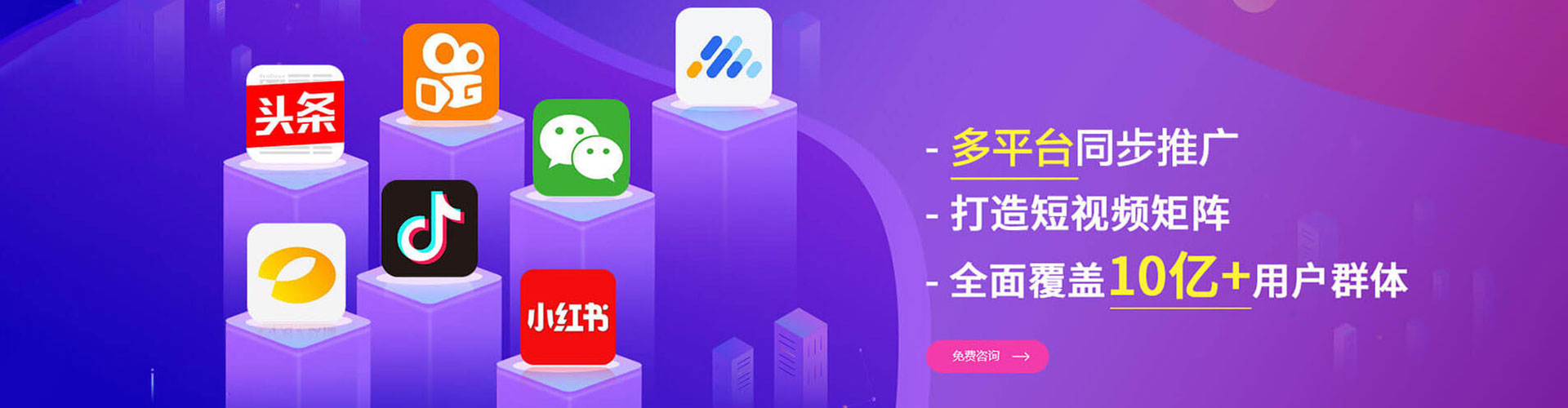 定结信息流代理